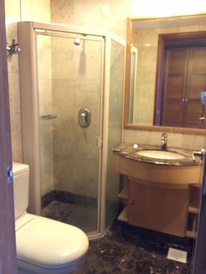 Tanglin View (D3), Condominium #131529172